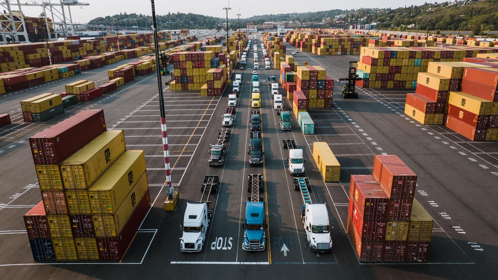 Container ship carrying imported vehicles
